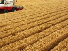 湖北提出“一芯驅動、兩帶支撐、三區協同”的區域和產業規劃布局