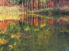 張家口：打造冬奧和冰雪產業人才高地