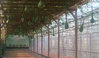 “蔬菜之鄉(xiāng)”山東壽光聚力打造具有縣域特色國家級(jí)高新區(qū)