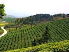 安陽召開合金新材料產業(yè)園規(guī)劃建設協調推進會