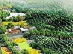 打造“零碳園區”？生態環境部公布第一批試點產業園區名單