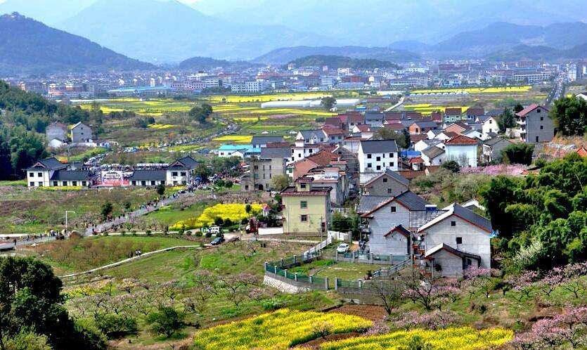 馬曉河 涂圣偉:實現(xiàn)農(nóng)民富、農(nóng)業(yè)強(qiáng)、農(nóng)村美的路線圖