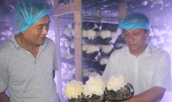 中國(guó)高新技術(shù)經(jīng)濟(jì)研究院來萬寶新區(qū)調(diào)研