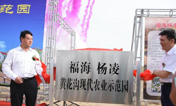 新疆福?？h攜手楊凌高新區打造中國高緯度農業示范基地