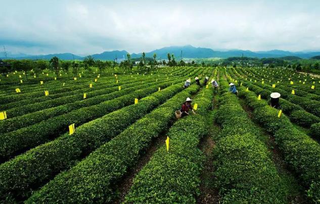 重磅！國家要重點建設1000個鄉村振興示范村鎮！未來將有大發展!