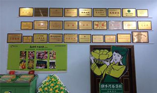 “芒果百色，香飄百地” 國內(nèi)首家芒果精深加工特色產(chǎn)業(yè)基地申報進行時