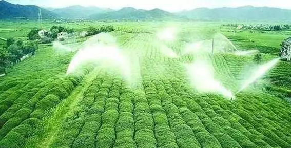 重磅！2019中央一號文件即將發(fā)布！大農(nóng)業(yè)領(lǐng)域迎來新機(jī)遇