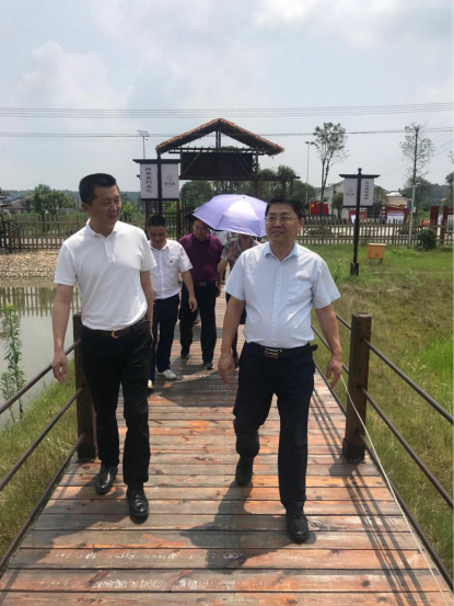 長沙鄉村振興正當時，鄉村治理獲贊譽