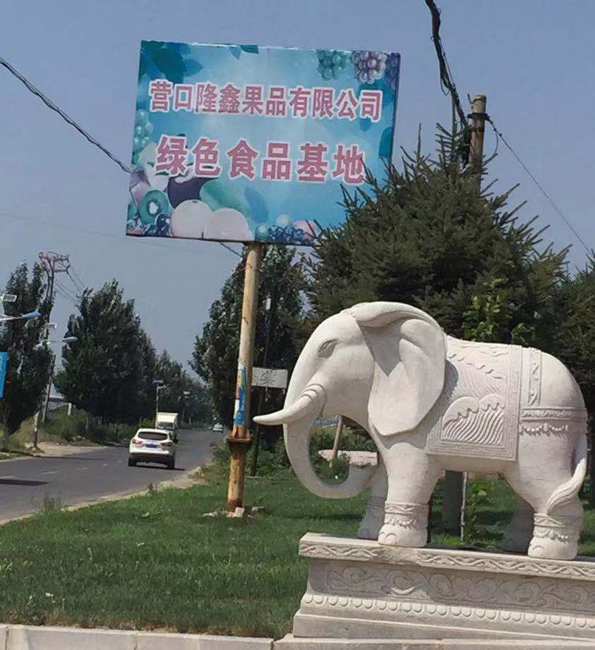 東北水果之鄉(xiāng)迎來發(fā)展新機(jī)遇,蓋州爭創(chuàng)省級現(xiàn)代農(nóng)業(yè)產(chǎn)業(yè)園