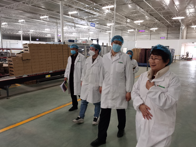 依托非耕地高效設施農業,民樂縣著力打造特色戈壁農業國家現代農業產業園