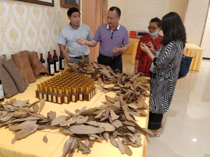 龔州大地，龍眼飄香-平南現代農業正釋放科技創新活力