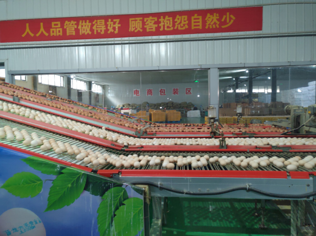 后稷故里,板棗之鄉(xiāng)——山西省稷山縣大力爭(zhēng)創(chuàng)國(guó)家現(xiàn)代農(nóng)業(yè)產(chǎn)業(yè)園