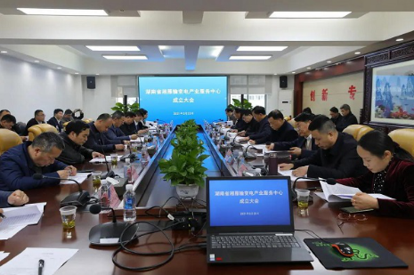 湘雁輸變電產(chǎn)業(yè)服務(wù)中心在長沙成立,湖南輸變電產(chǎn)業(yè)開啟發(fā)展新篇章
