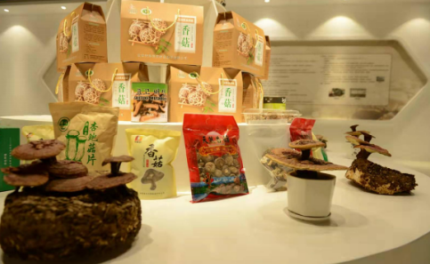 依托蘋果和香菇兩大特色優勢產業,萬榮縣積極申創國家農業現代化示范區