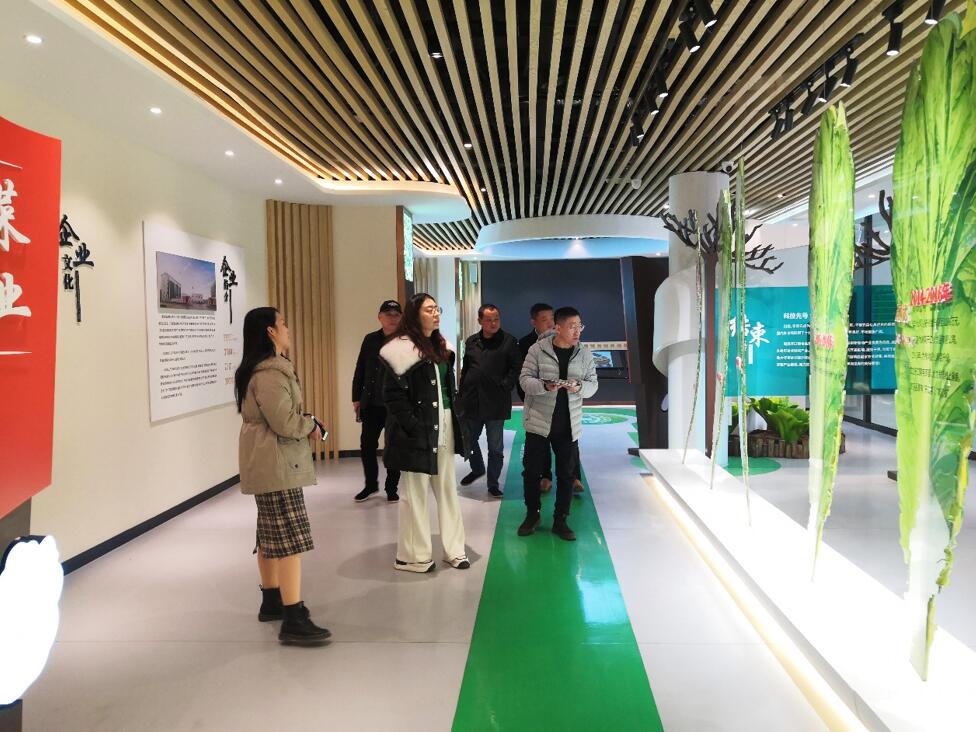 華容芥菜香飄四海，創建國家現代農業產業園恰逢其時