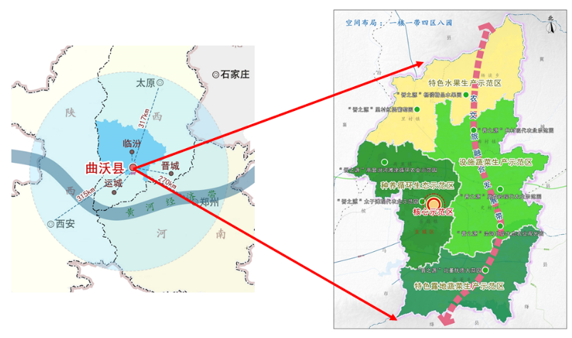 晉之源果蔬再啟航,曲沃開啟國家農業現代化示范區新征程
