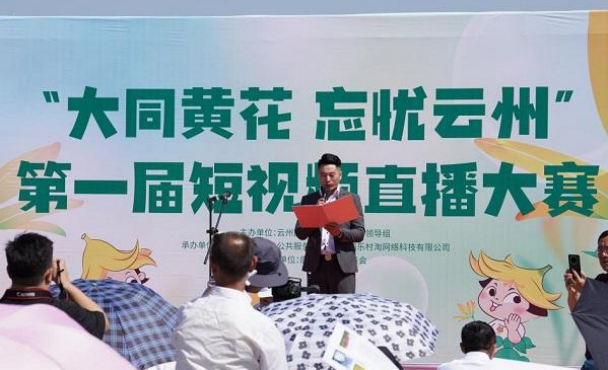 奮進新征程,建功新時代 ——云州積極推進國家鄉村振興示范縣創建